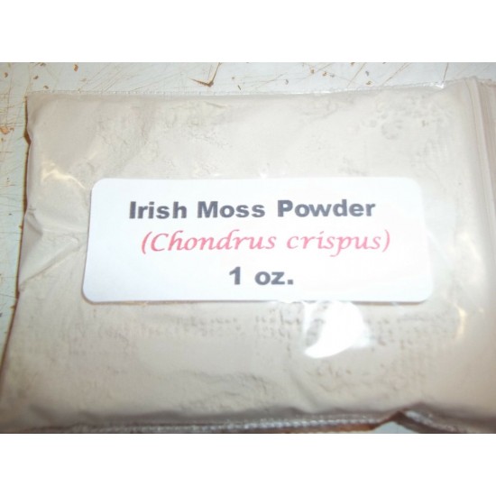 Irish Moss Powder (Chondrus crispus)