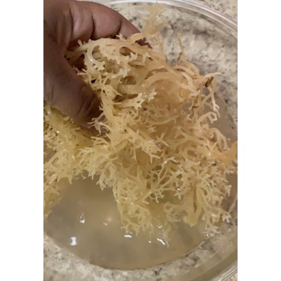 Sea Moss Irish Moss Dried (Dr. Sebi Inspired) 100% Wildcrafted- From The Pacific Ocean